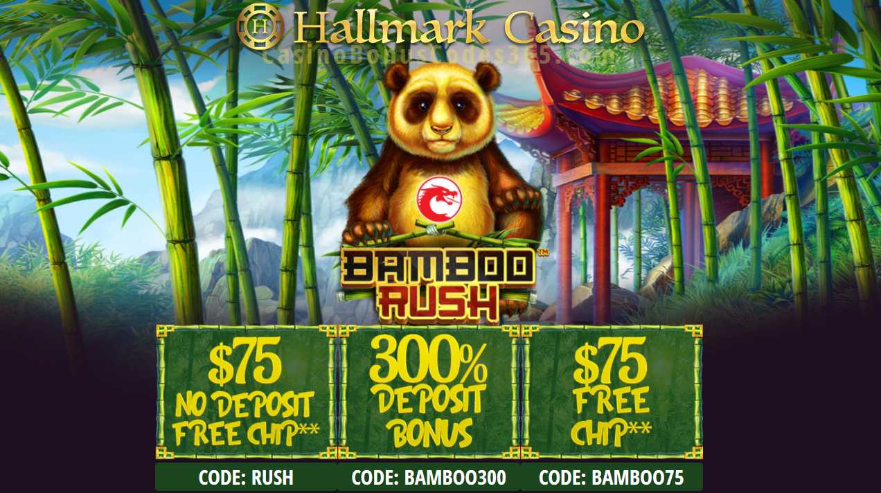 Hallmark casino no deposit bonus codes march 2020
